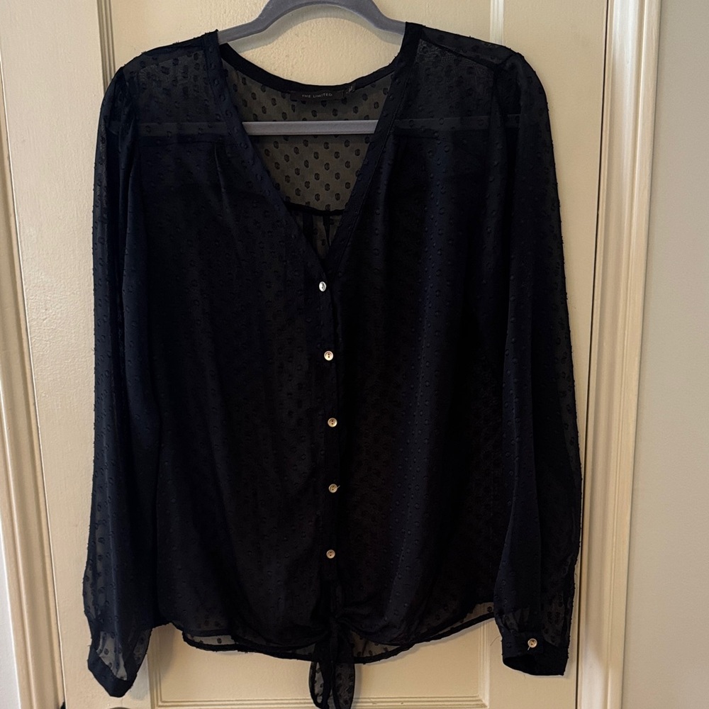 The Limited Black Sheer Button-Down Blouse